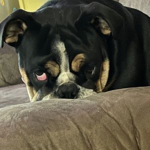 Meet your Posher, Cassie